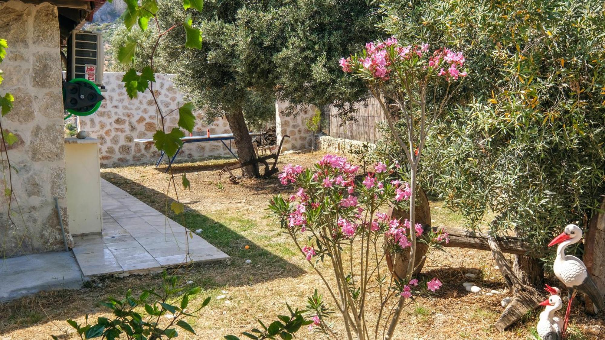 Likya House - Deniz Ve Doga Manzarali, Havuzlu Villa Patara Eksteriør billede