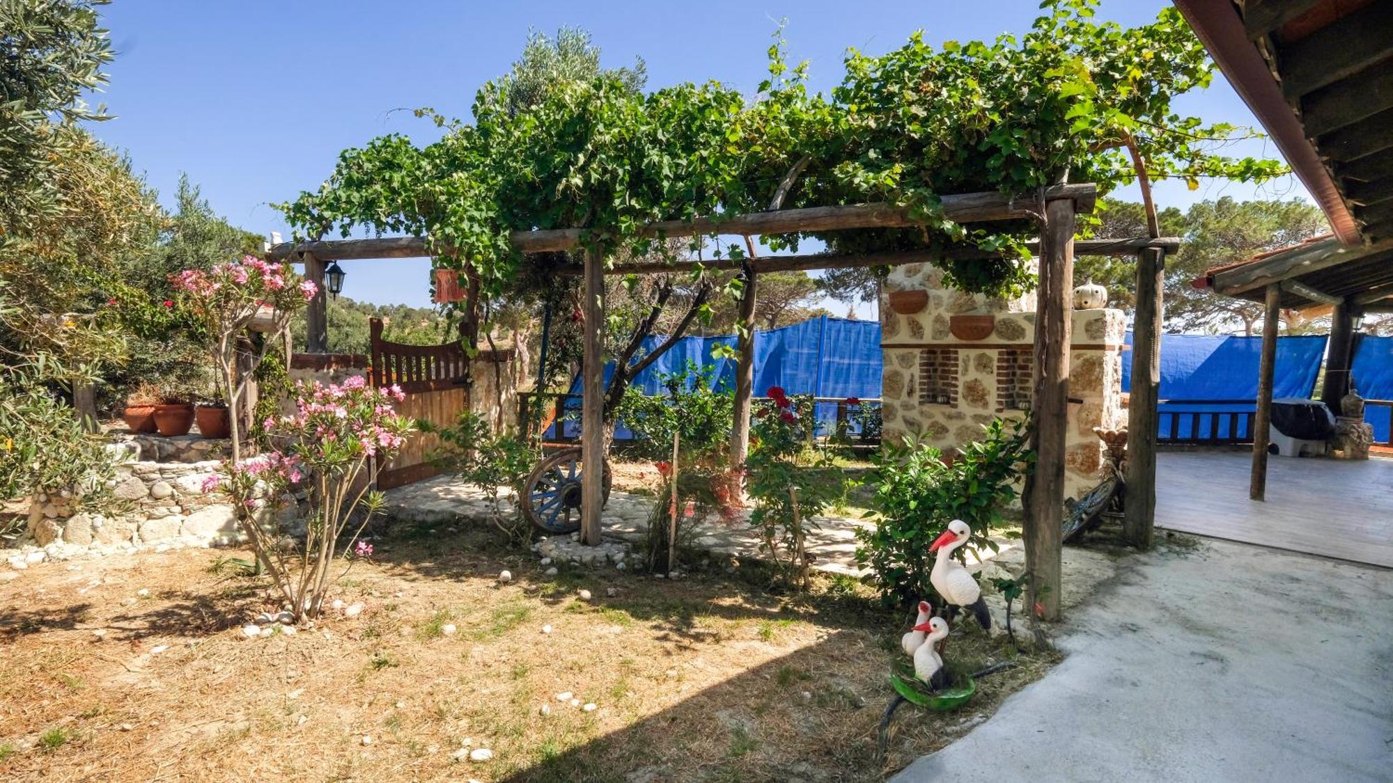 Likya House - Deniz Ve Doga Manzarali, Havuzlu Villa Patara Eksteriør billede