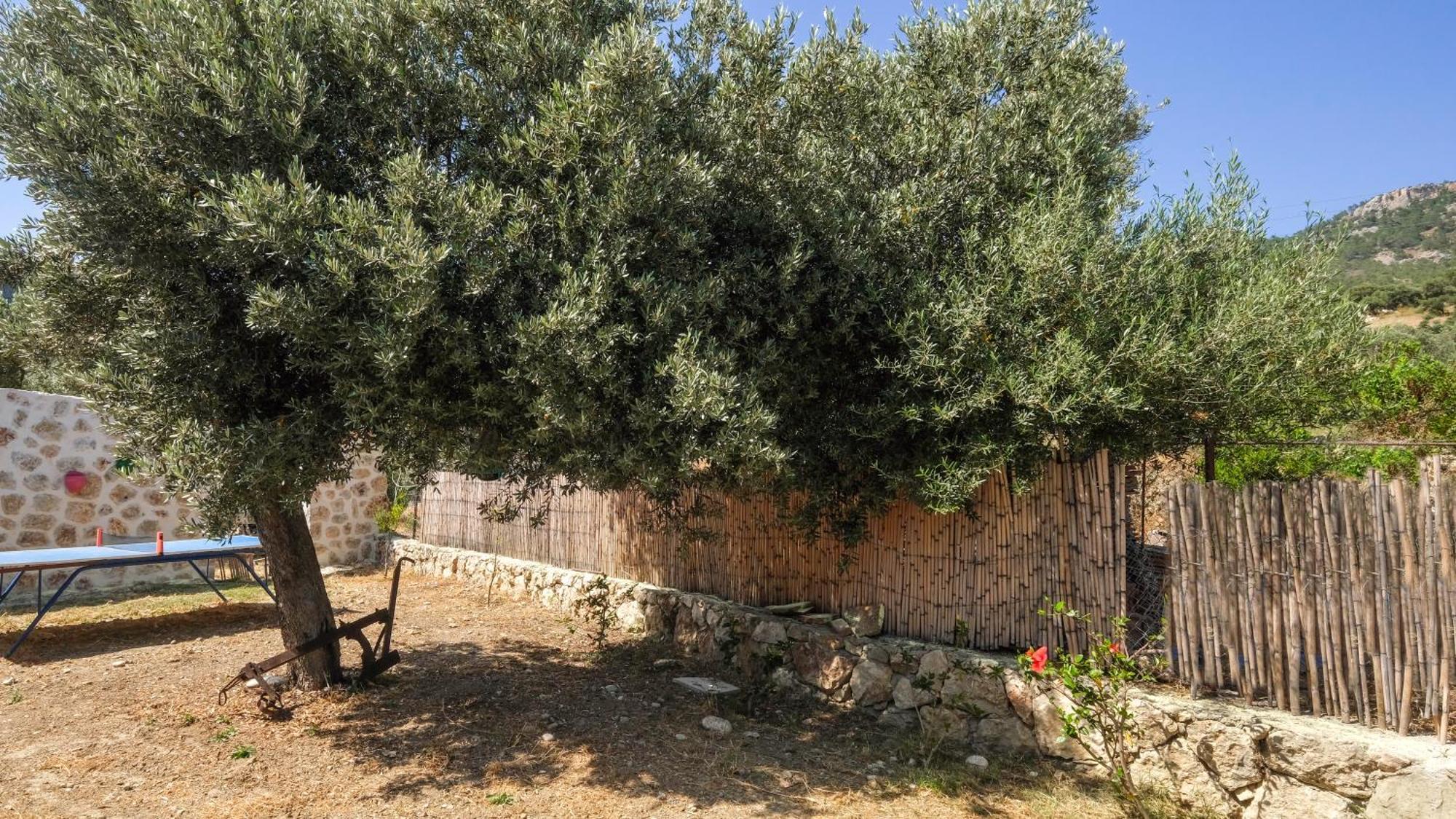 Likya House - Deniz Ve Doga Manzarali, Havuzlu Villa Patara Eksteriør billede